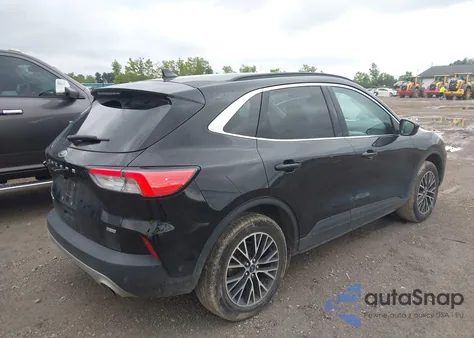 2021 Ford Escape Titanium Plug-In Hybrid z USA, uszkodzony, nr VIN 1FMCU0LZ5MUA67361